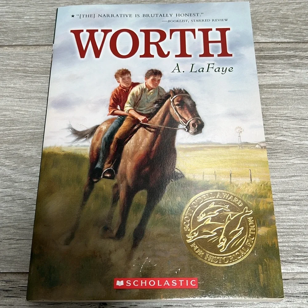 15 Chapter Books - Picture 16 of 16